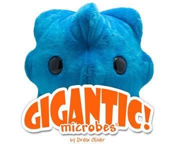 Giant microbes best sale common cold