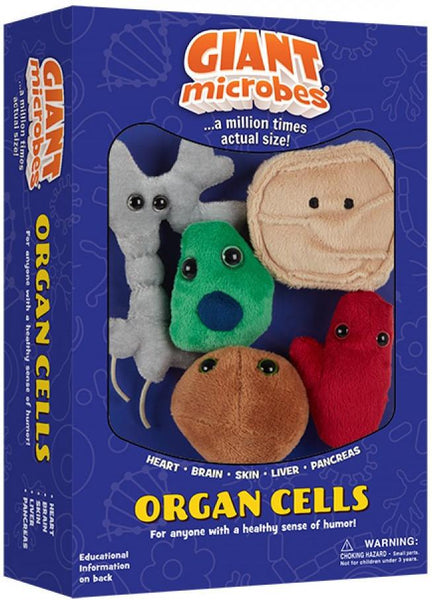 Humorous & Realistic Blind Date Gift Box by GIANTmicrobes® – Foxx Life  Sciences