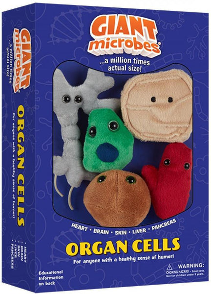 Mini best sale plush organs