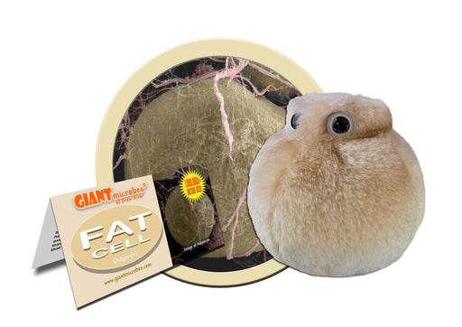 Giant cheap microbes plush